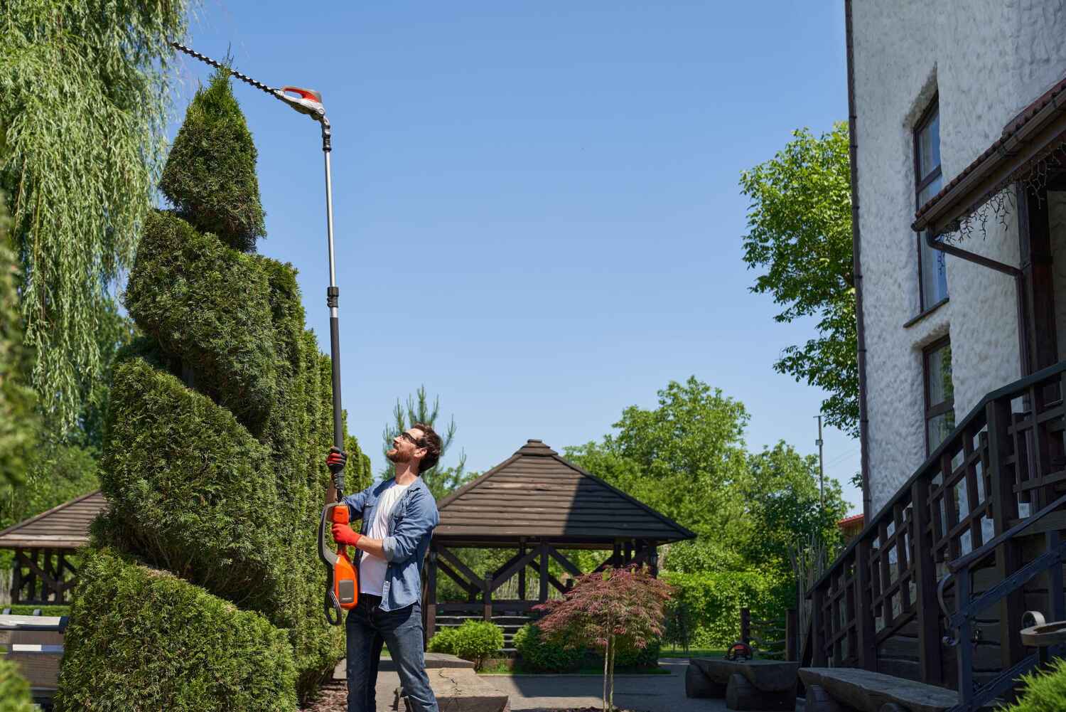 Best Best Tree Removal Services  in USA